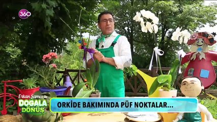 ? Orkide bakımında püf noktalar #DoğalaDönüş'te...