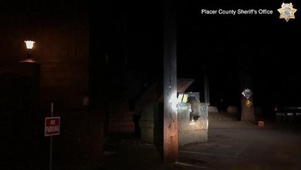 شاهد: شرطيان أميركيان ينقذان دباً صغيراً علق في داخل حاوية النفايات