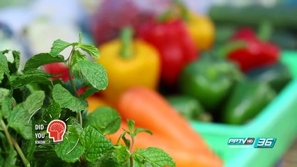 สีพริกหยวก ที่เห็นตามท้องตลาดมาจากหลายพันธุ์ที่แตกต่างกัน จริงๆ แล้วไม่ใช่เลย - Did you Know