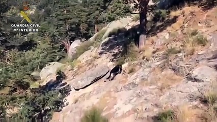 Hallan un cadáver de mujer donde buscaban a Fernández Ochoa