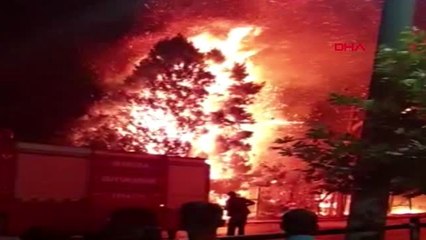 Manisa elektrik tellerinden çıkan yangın ağaçları yaktı