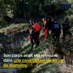 Université condamnée, Magic Johnson, Tortues menacées: voici votre brief info de ce mercredi après-midi