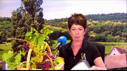 Nicole Bott, les vendanges et l'Interprofession des Vins d'Alsace