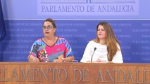 Adelante Andalucía analiza temas de actualidad