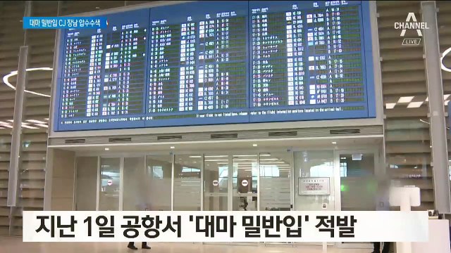 검찰, ‘대마 밀반입 혐의’ CJ 회장 장남 자택 압수수색