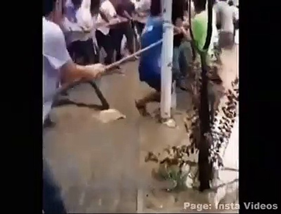 Amazing Scene | Hard to See Again | Unbelieveable Happenings | Insane People