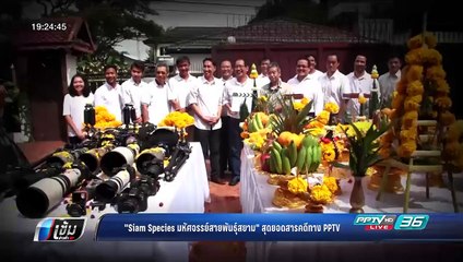 บุษบา หาเรื่องมาเป็นข่าว : "Siam Species มหัศจรรย์สายพันธุ์สยาม" สุดยอดสารคดีทาง PPTV  - เข้มข่าวค่ำ