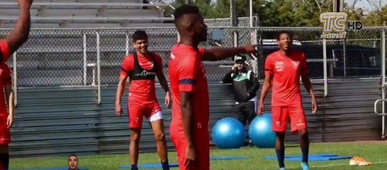 Jorge Célico dirigirá la Selección Ecuatoriana en fechas FIFA