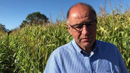 Saint-Michel-Chef-Chef. Un test grandeur nature dans un champ de maïs