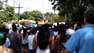 ‘Salve o Inpa’, pedem pesquisadores e cientistas durante mobilização em Manaus