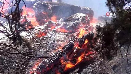 Tekirdağ'da ormanlık alanda yangın