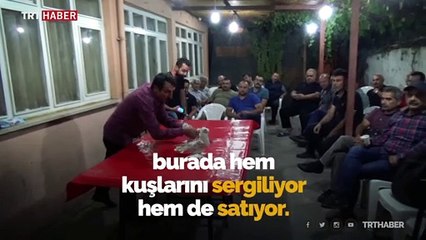 Amasya'da araba fiyatına güvercinler satılıyor
