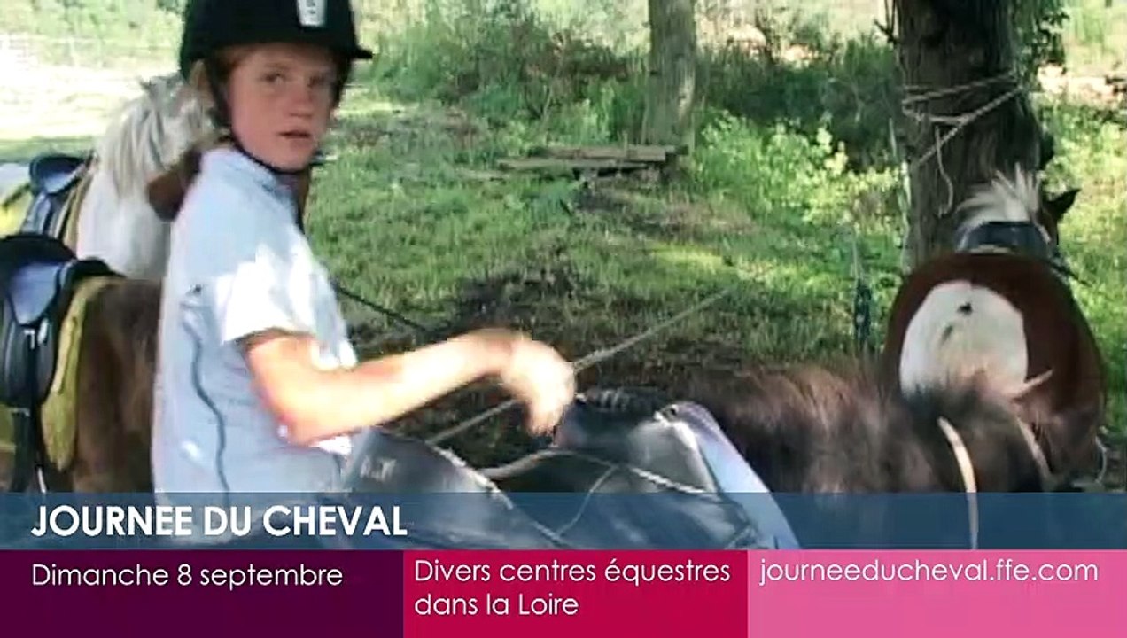 Toutes vos sorties dans la Loire!