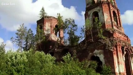 The biggest insects in the world