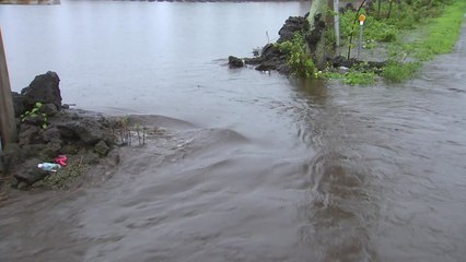 제주 또 기습 폭우...도로·농경지 침수 피해 / YTN