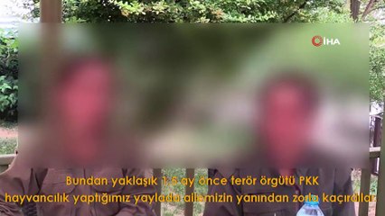 Terör örgütü PKK'nın kaçırdığı kız çocukları jandarmaya sığındı