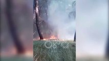 RTV Ora - Fier, sërish zjarr në zonën pyjore të Shkozës