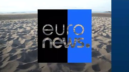 شاهد: زواحف مهددة بالانقراض تتكاثر بشكل مفاجئ لتغزو شواطئ الإكوادور