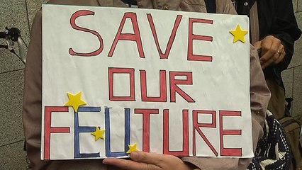 Kuzey ile Güney arasında yeniden sınır istemeyen İrlandalılar Dublin'de Brexit'i protesto etti