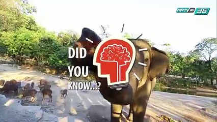 Did you Know -  บ้านเรามี 3 ฤดูกาล บางประเทศมี 4 ฤดูกาล เกิดขึ้นได้อย่างไร