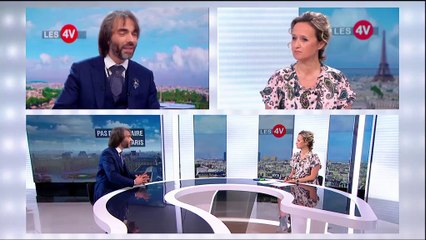 Cédric Villani, un scientifique entré en politique