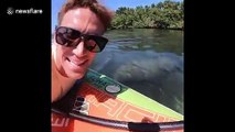 Paddle boarders stumble across herd of manatees in Florida