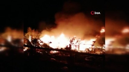 18 arı kovanı çıkan yangında alevlere teslim oldu