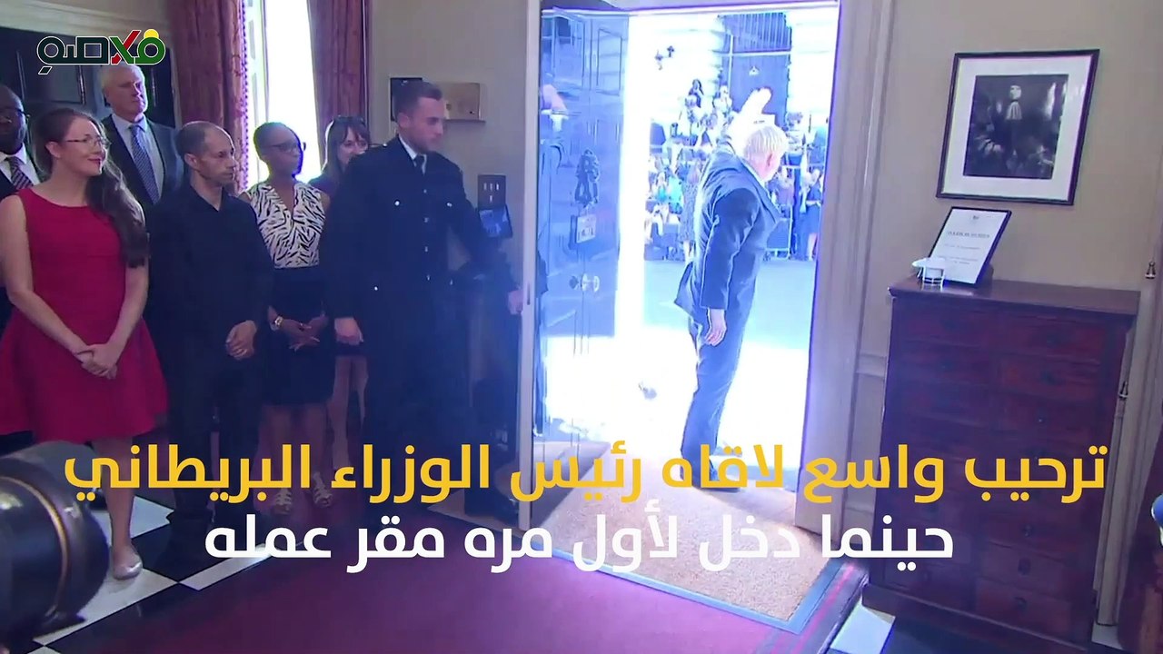 فيديو.. أعرف حكاية القط لارى الموظف فى الحكومة البريطانية