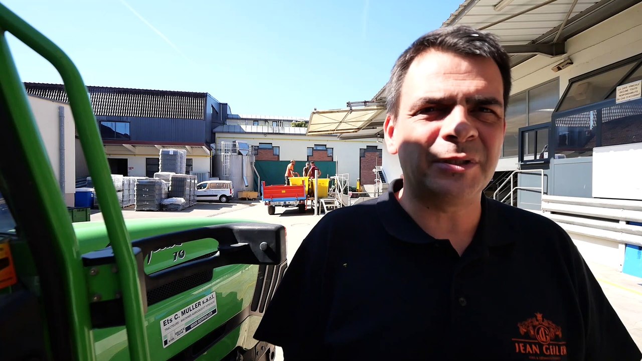 Vendanges : l’analyse de Nicolas Garde, œnologue