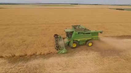 Agricultura e pecuária em risco na União Europeia