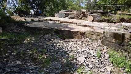 'Death March' of a 550 Million-Year-Old Worm Discovered