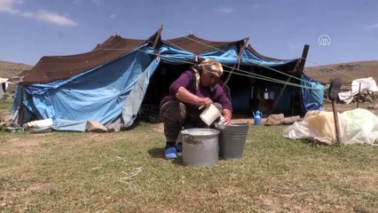 Doğu'daki yaylalarda göçerlerin dönüş hazırlığı başladı - AĞRI