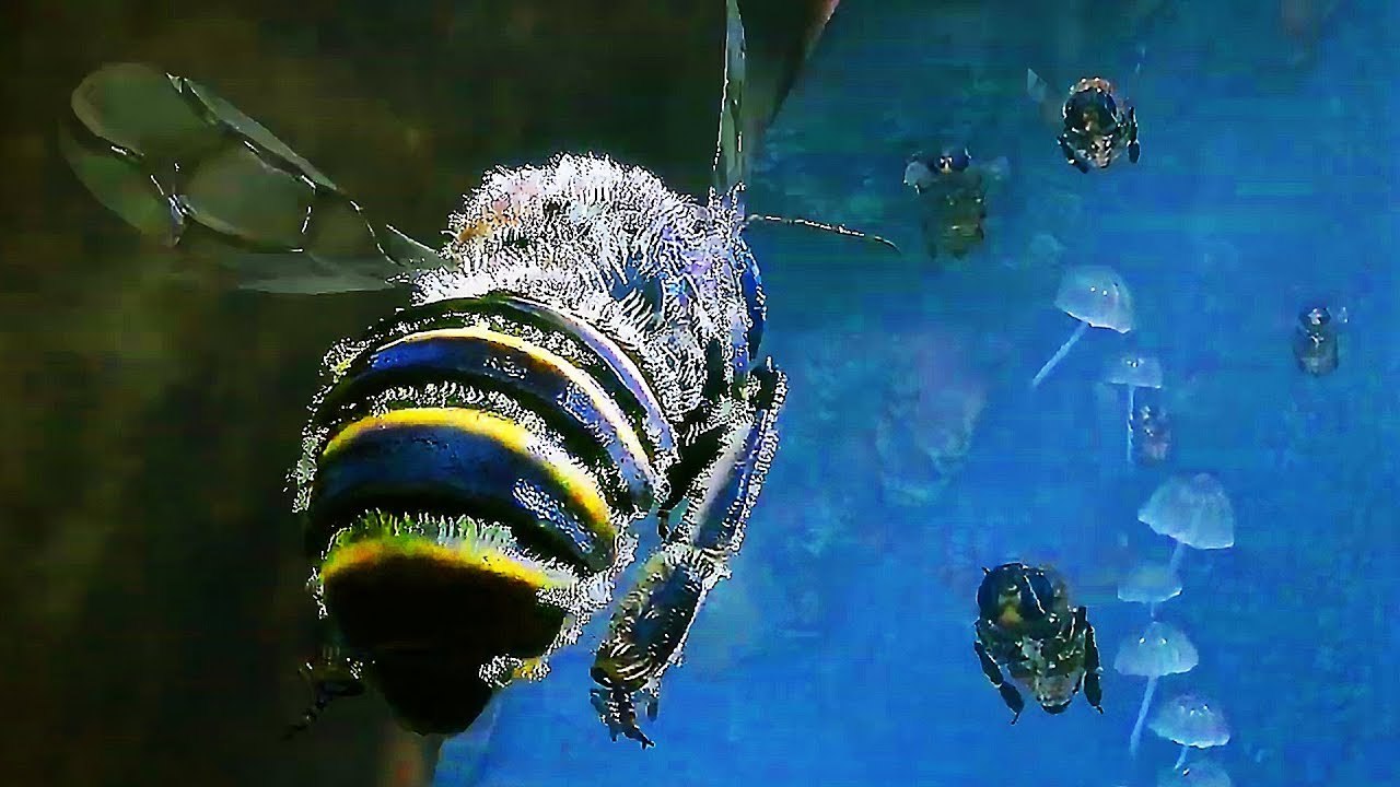 BEE SIMULATOR Bande Annonce de Gameplay