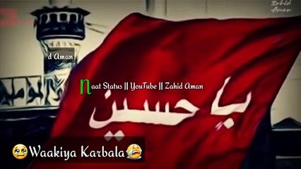 Mera Maula Maula Husain Hai || Tahir Qadri