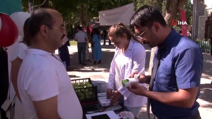Kadına şiddet konusuna "dilek ağacında" dikkat çektiler