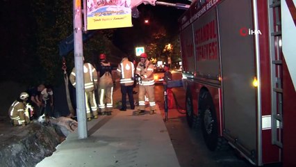 Sarıyer’de su kanalına düşen at itfaiye ekiplerinin çalışmasıyla kurtarıldı