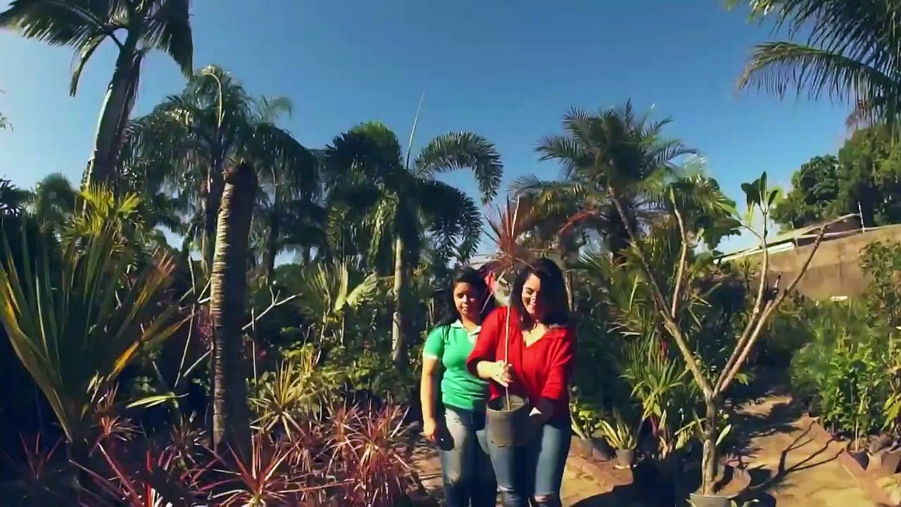 Caminhos do Coracao Capitulo 107