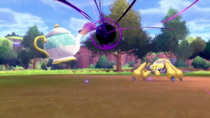 Pokémon Espada y Escudo - ¡Vete de acampada!