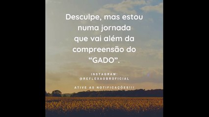 Red Pill: 02 - Você em primeiro lugar