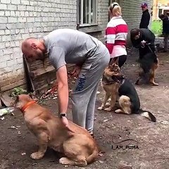 Ce puma va vous surprendre. Regardez attentivement !