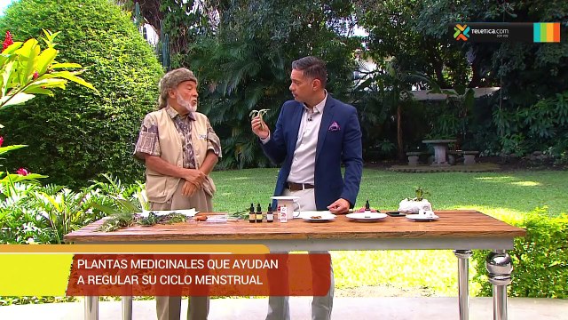 bd-plantas-medicinales-ciclo-menstrual-050919