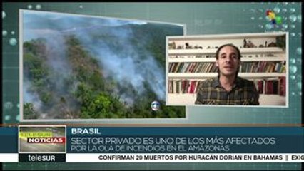 Brasil: cerca de 30 mil km afectados por incendios en la Amazonía