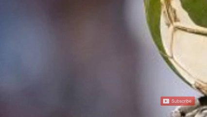 Ballon d'Or 2019 Ranking the top 5 favorites September 2019