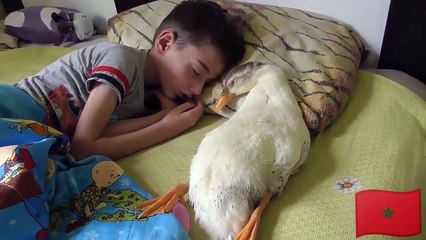 ‫غريب كل هذه الأشياء من أجل بعض المال