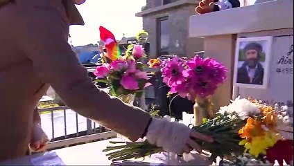 Isla Paraíso Capitulo 233 (Final)