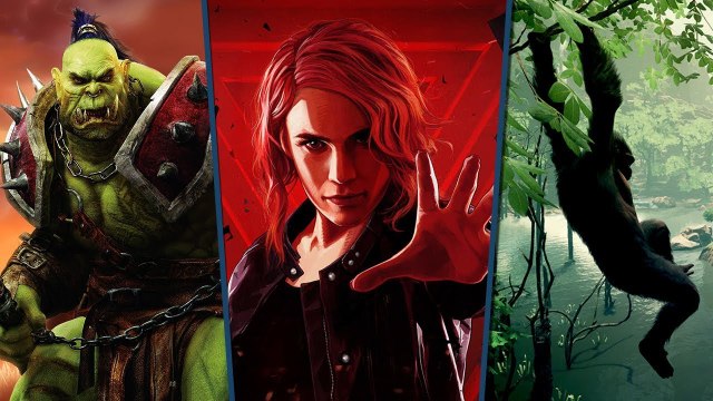 Les sorties du mois d'AOUT 2019