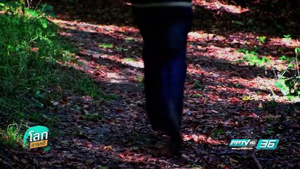 มหัศจรรย์สัตว์โลกสุดทึ่ง - โลกสารคดี (3/3)