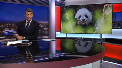 French zoo enjoys a 'baby boom'