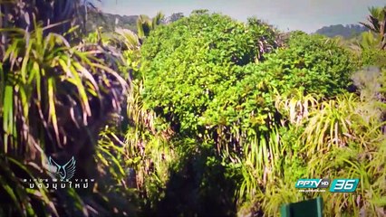 ความงดงามทางธรรมชาติแห่งเกาะใต้ Bird's Eye View (2/3)