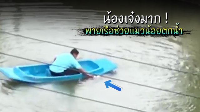 น้องเจ๋งมาก ! นักเรียน ม.3 จ้ำอ้าวพายเรือ ช่วยแมวน้อยตกน้ำ